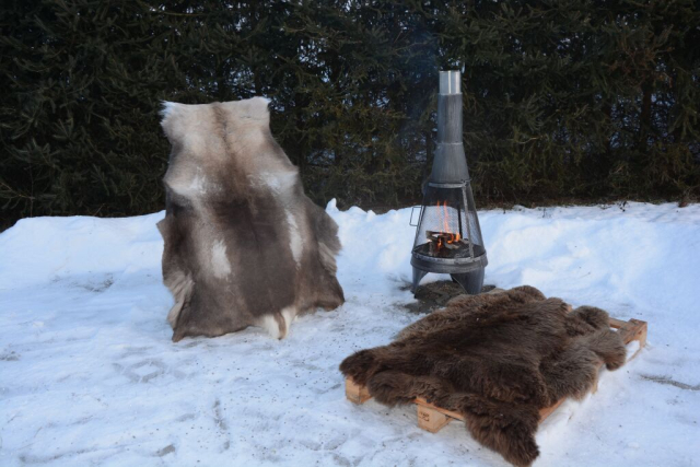 Rentierfell Great Wild Lion XXXL